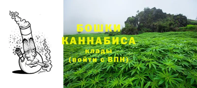 купить наркотик  Гусь-Хрустальный  Марихуана White Widow 